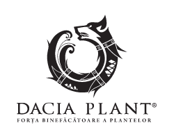 DACIA PLANT